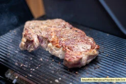 Outdoorchef Blazinglas® L Für Napoleon Rogue XT, Freestyle, Outdoorchef Dualchef, Broil King Infrarotbrenner, Rösle Prime Zone Videro, Grillfürst G-Modelle, Santos S-Serie, Burnhard Earl -Günstiges Outdoorchef Geschäft Blazinglas Napoleon Sizzlezone 1